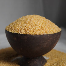 Load image into Gallery viewer, A dark brown wooden bowl filled with golden yellow Foxtail millet grains, set against a soft gray background with some grains scattered around the base.
