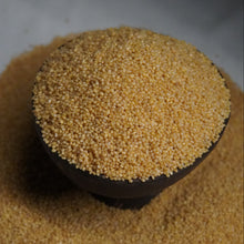Load image into Gallery viewer, A close-up of coarse Foxtail millet  on a white surface, with a dark bowl or scoop holding a mound of the same grain in the center.
